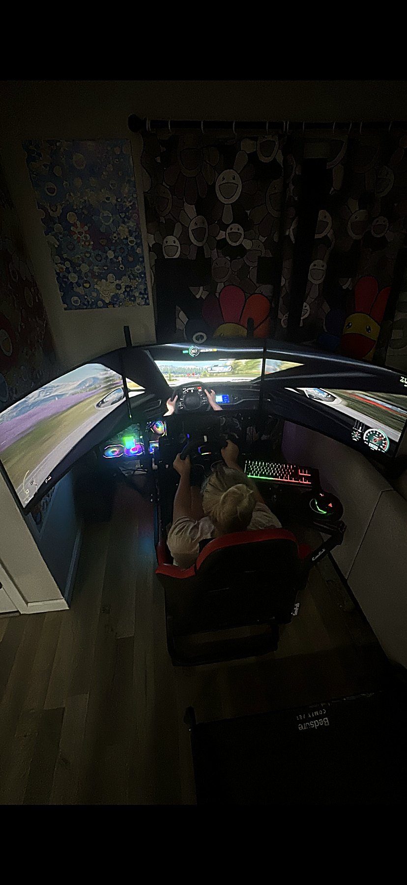 California Home Technology installation
